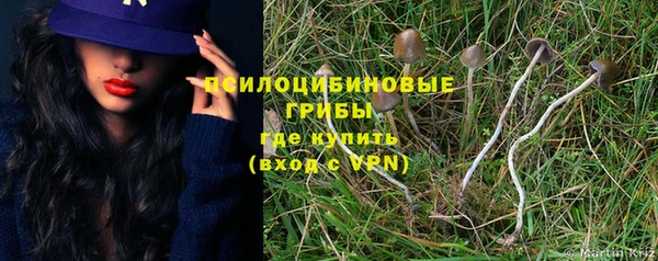 скорость Новодвинск