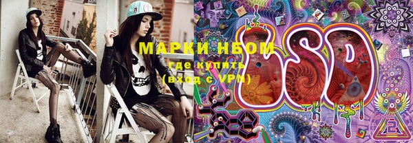 дживик Новозыбков