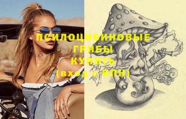 прущие крисы Новокубанск