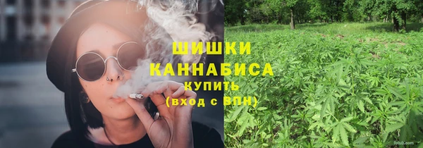 дживик Новозыбков