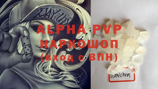 дживик Новозыбков